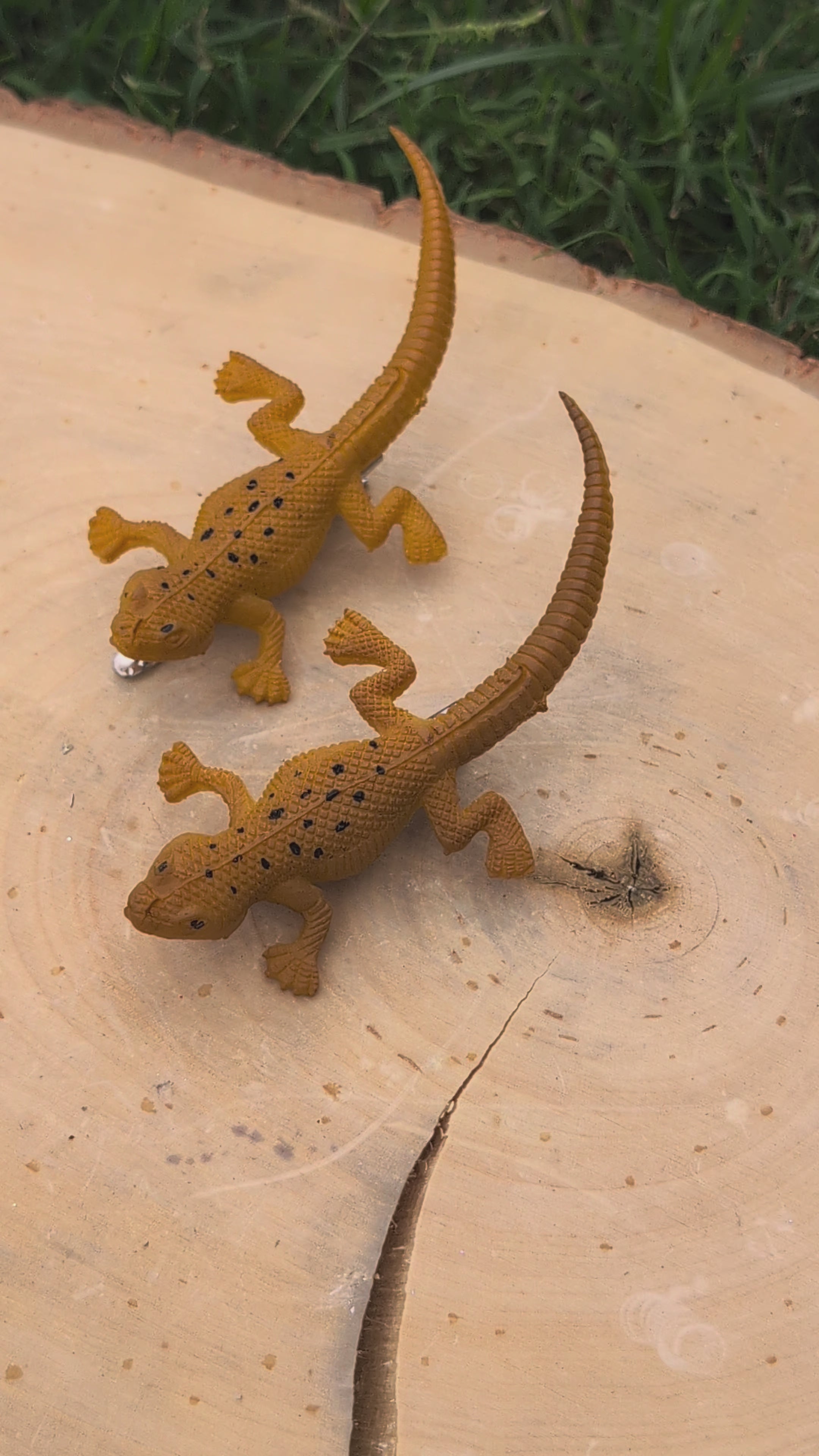 Lizard Hair clips